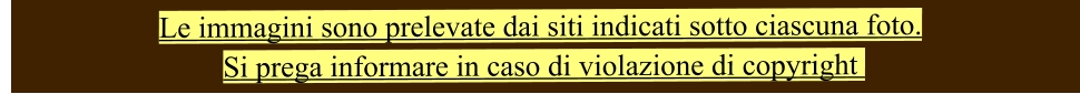 Le immagini sono prelevate dai siti indicati sotto ciascuna foto.  Si prega informare in caso di violazione di copyright