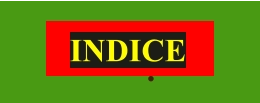 INDICE •